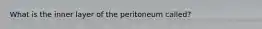 What is the inner layer of the peritoneum called?