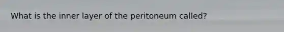 What is the inner layer of the peritoneum called?