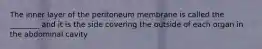 The inner layer of the peritoneum membrane is called the ________ and it is the side covering the outside of each organ in the abdominal cavity
