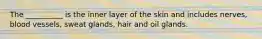 The __________ is the inner layer of the skin and includes nerves, blood vessels, sweat glands, hair and oil glands.