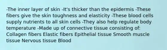 -The inner layer of skin -It's thicker than the epidermis -These fibers give the skin toughness and elasticity -These blood cells supply nutrients to all skin cells -They also help regulate body temperature -Made up of connective tissue consisting of: Collagen fibers Elastic fibers Epithelial tissue Smooth muscle tissue Nervous tissue Blood