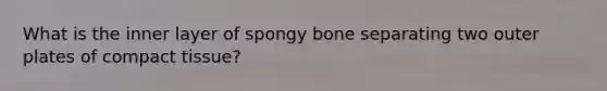 What is the inner layer of spongy bone separating two outer plates of compact tissue?