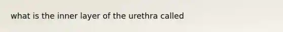 what is the inner layer of the urethra called