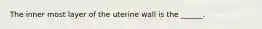 The inner most layer of the uterine wall is the ______.