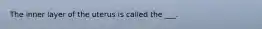 The inner layer of the uterus is called the ___.