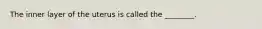 The inner layer of the uterus is called the ________.