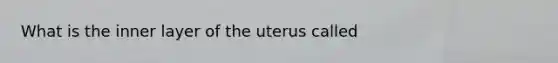 What is the inner layer of the uterus called