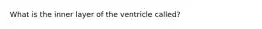 What is the inner layer of the ventricle called?