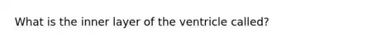 What is the inner layer of the ventricle called?