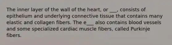 The inner layer of the wall of the heart, or ___, consists of epithelium and underlying connective tissue that contains many elastic and collagen fibers. The e___ also contains blood vessels and some specialized cardiac muscle fibers, called Purkinje fibers.