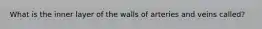 What is the inner layer of the walls of arteries and veins called?