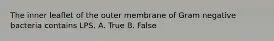 The inner leaflet of the outer membrane of Gram negative bacteria contains LPS. A. True B. False