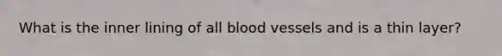 What is the inner lining of all blood vessels and is a thin layer?