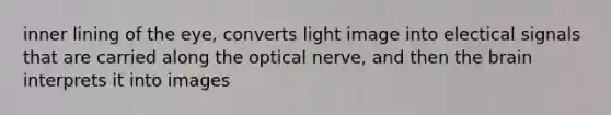 inner lining of the eye, converts light image into electical signals that are carried along the optical nerve, and then the brain interprets it into images