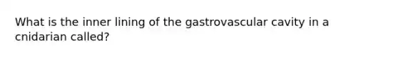 What is the inner lining of the gastrovascular cavity in a cnidarian called?