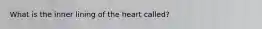 What is the inner lining of the heart called?