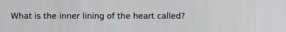 What is the inner lining of the heart called?