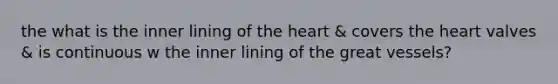 the what is the inner lining of the heart & covers the heart valves & is continuous w the inner lining of the great vessels?