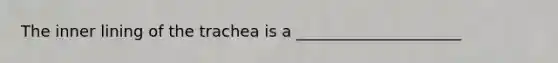 The inner lining of the trachea is a _____________________