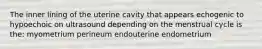 The inner lining of the uterine cavity that appears echogenic to hypoechoic on ultrasound depending on the menstrual cycle is the: myometrium perineum endouterine endometrium