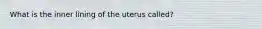 What is the inner lining of the uterus called?