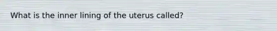 What is the inner lining of the uterus called?