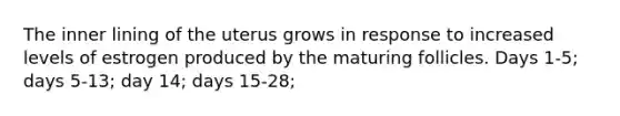 The inner lining of the uterus grows in response to increased levels of estrogen produced by the maturing follicles. Days 1-5; days 5-13; day 14; days 15-28;