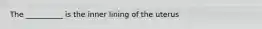 The __________ is the inner lining of the uterus