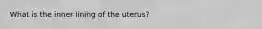 What is the inner lining of the uterus?