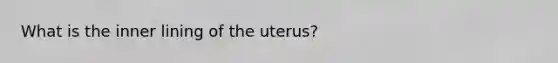 What is the inner lining of the uterus?