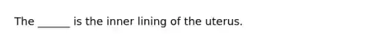 The ______ is the inner lining of the uterus.