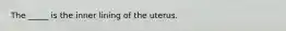 The _____ is the inner lining of the uterus.