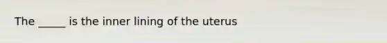 The _____ is the inner lining of the uterus