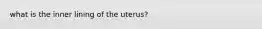 what is the inner lining of the uterus?