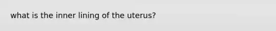 what is the inner lining of the uterus?