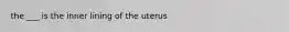 the ___ is the inner lining of the uterus