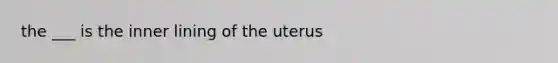 the ___ is the inner lining of the uterus