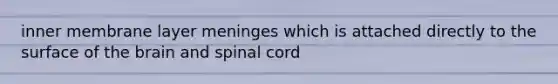 inner membrane layer meninges which is attached directly to the surface of the brain and spinal cord