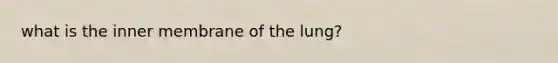 what is the inner membrane of the lung?