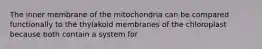 The inner membrane of the mitochondria can be compared functionally to the thylakoid membranes of the chloroplast because both contain a system for