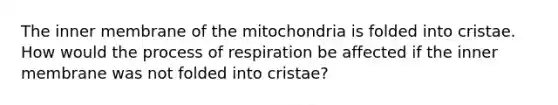 The inner membrane of the mitochondria is folded into cristae. How would the process of respiration be affected if the inner membrane was not folded into cristae?