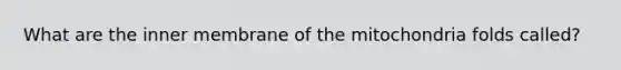 What are the inner membrane of the mitochondria folds called?