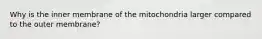 Why is the inner membrane of the mitochondria larger compared to the outer membrane?