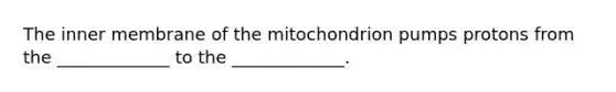 The inner membrane of the mitochondrion pumps protons from the _____________ to the _____________.