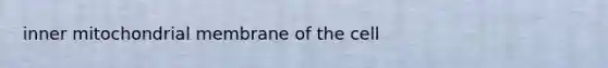 inner mitochondrial membrane of the cell