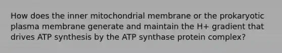 How does the inner mitochondrial membrane or the prokaryotic plasma membrane generate and maintain the H+ gradient that drives ATP synthesis by the ATP synthase protein complex?