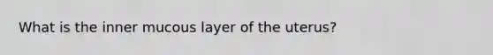 What is the inner mucous layer of the uterus?
