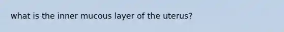 what is the inner mucous layer of the uterus?