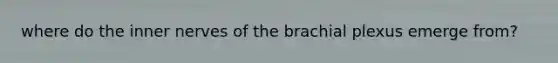 where do the inner nerves of the brachial plexus emerge from?