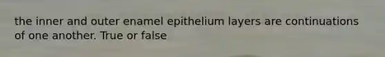 the inner and outer enamel epithelium layers are continuations of one another. True or false